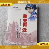 羌去何处---紧急保护羌族文化遗产专家建言录