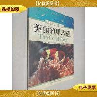 美丽的珊瑚礁