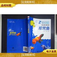 怎样养好观赏鱼