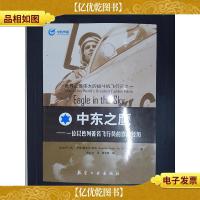中东之鹰:一位以色列*飞行员的作战经历