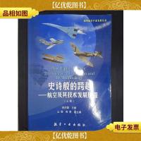 通用航空产业发展丛书:史诗般的跨越——航空及其技术发展历程(