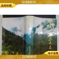 罗玉川纪念文集(布面精装)