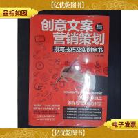 创意文案与营销策划撰写技巧及实例全书
