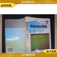 我梦中的小翠鸟