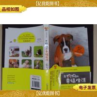 与狗狗的幸福生活·