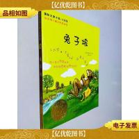 国际大*小说:兔子坡(注音版)