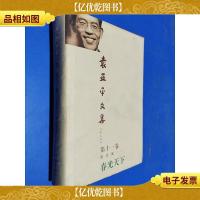 袁亚平文集 第十一卷 通讯集 春光天下