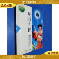 张之路品藏书系:足球大侠
