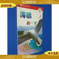 儿童目击者 海鸥的一天
