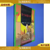 野生的爱尔莎