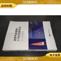天然气水合物:21世纪的新能源