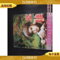 烽火少年系列丛书—— 火娃..