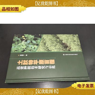 土默特平原苜蓿高效种植技术研究与示范