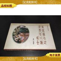 中央第三代领导与少数民族