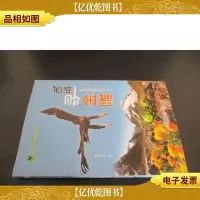 再难见到的动物丛书:西域寻金雕