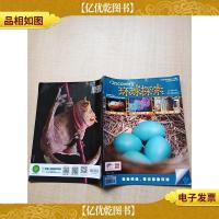 环球探索 2018.11/杂志