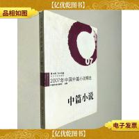 2007年中国中篇小主精选:中篇小说