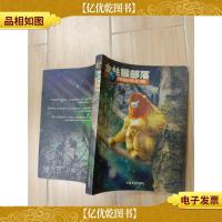 金丝猴部落 探秘神农架