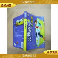 la流浪记