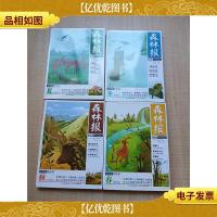 森林报 美绘全译本 [春+夏+秋+冬 四本合售]