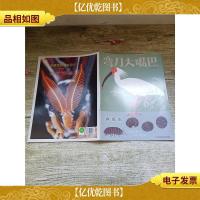 弯刀大嘴巴:朱鹮