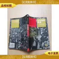 公共住房浪潮 国际模式与中国安居工程的对比研究