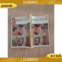 中外名人佳丽爱情生活大观 一