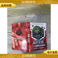 我的世界 红石基础与进阶
