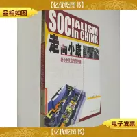 走向小康:社会主义在当代中国