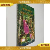 热带雨林漫游与民族森林文化趣谈