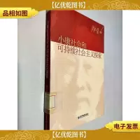 小康社会和可持续社会主义探索