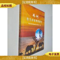 非洲电力市场规划研究