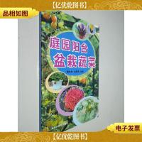 庭园阳台盆栽蔬菜