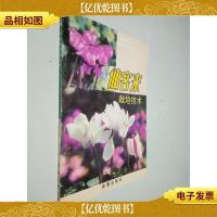 仙客来栽培技术