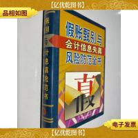 假账甄别与*信息失真风险防范全书