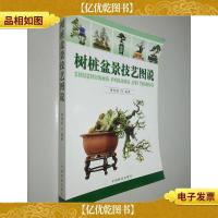 树桩盆景技艺图说