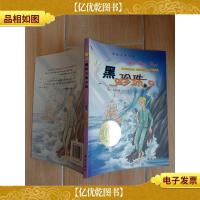 黑珍珠 新蕾出版社