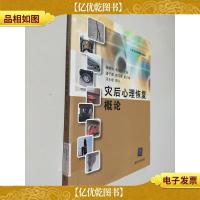 灾后心理恢复概论 公共安全管理系列教材