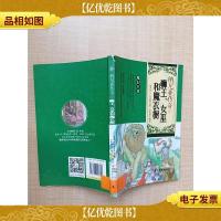 纳尼亚传奇(1)狮王女巫和魔衣橱[书脊受损][馆藏]