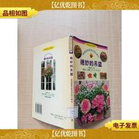 绝妙的吊篮 庭院四季装饰实例与做法[馆藏]