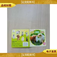 乐智小天地 宝宝版 进阶系列 可爱的小猫和小狗[精装绘本][内