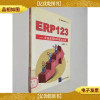 ERP123:企业应用ERP成功之路