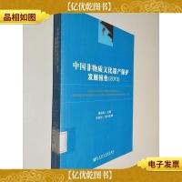 中国非物质文化遗产保护发展报告(2013)