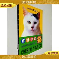 疼惜你的猫