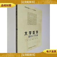 大学数学:微积分学基础