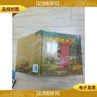 风姐姐来了