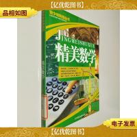 青少年科普丛书:精美数学