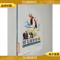 魅力羽毛球世界