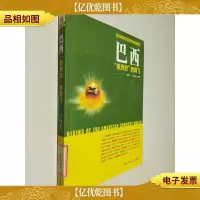 金砖国家崛起系列·巴西:“美洲豹”的腾飞