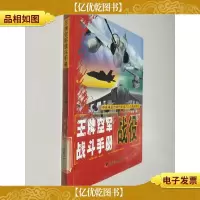 *空军战斗手册:战役